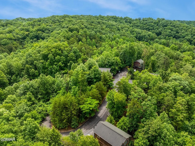 4535 Holly Forest Way, Sevierville, TN 37876 - photo 40