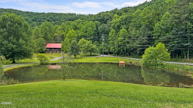 3955 Millers Ridge Way, Sevierville, TN 37862 - photo 36
