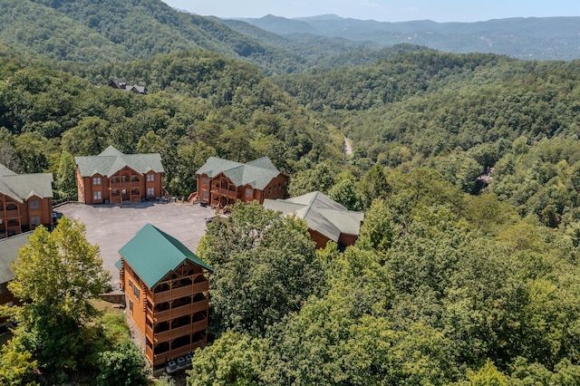 bird's eye view with a mountain view