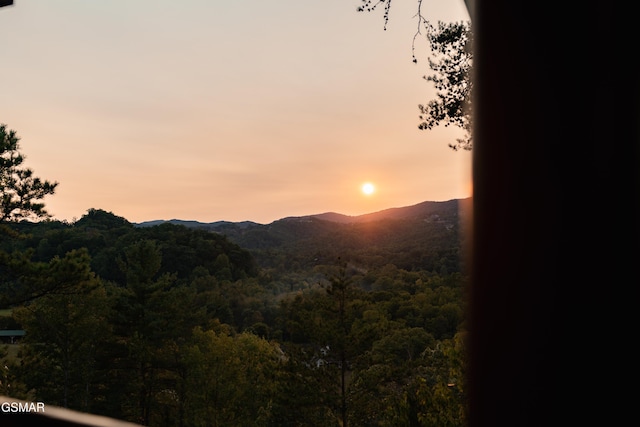 view of mountain feature with a wooded view