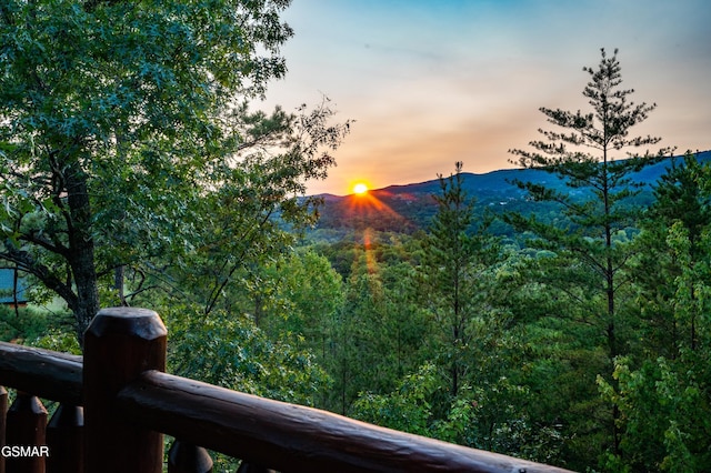 view of mountain feature with a wooded view