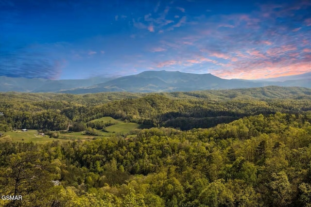 2513 Look Afar View Dr, Sevierville, TN 37876 - view of mountain backdrop featuring a forest