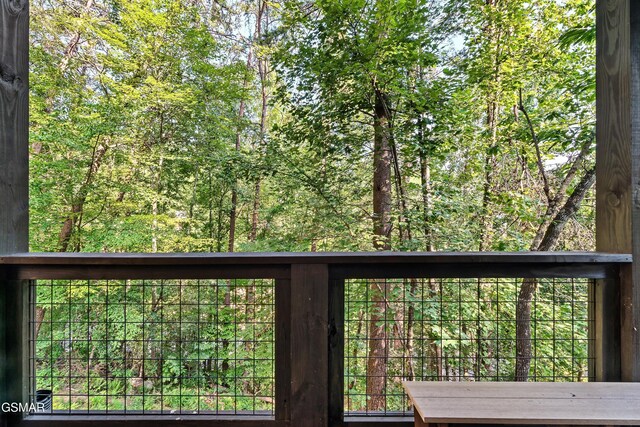 3504 Sand Ridge Way, Pigeon Forge, TN 37862 - photo 49