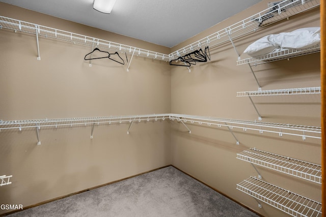 spacious closet with carpet flooring