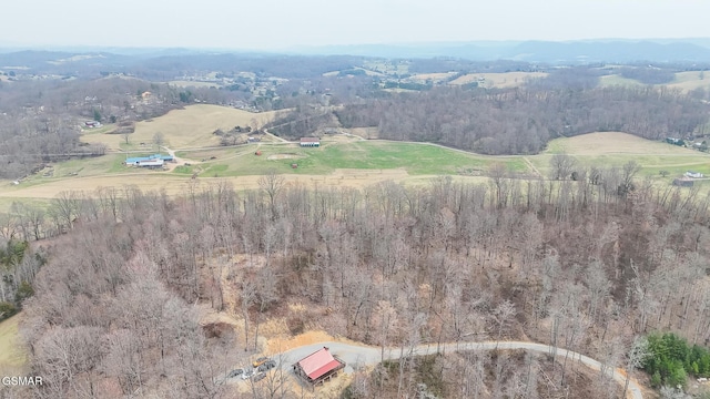 bird's eye view featuring a rural view and a forest view