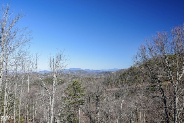 property view of mountains featuring a wooded view