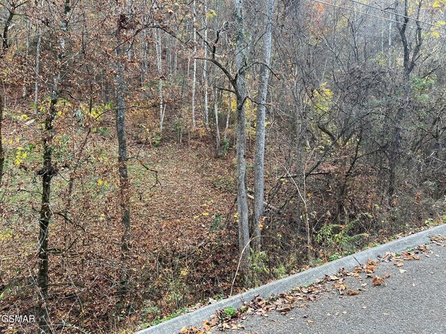 LOT6 Pulaski Ln, Sevierville, TN 37862
