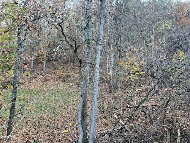 LOT6 Pulaski Ln, Sevierville, TN 37862
