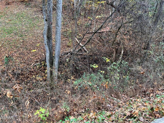 LOT6 Pulaski Ln, Sevierville, TN 37862