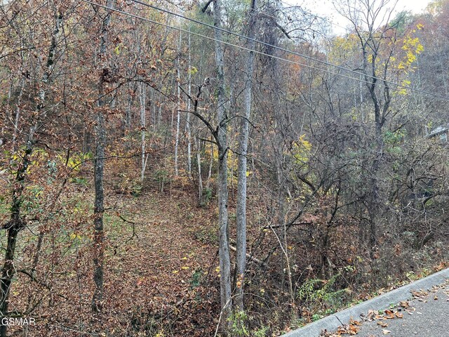LOT6 Pulaski Ln, Sevierville, TN 37862