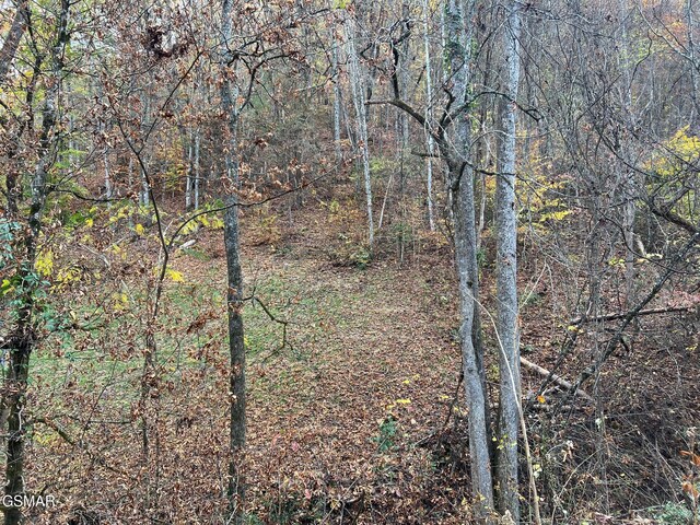 LOT6 Pulaski Ln, Sevierville, TN 37862