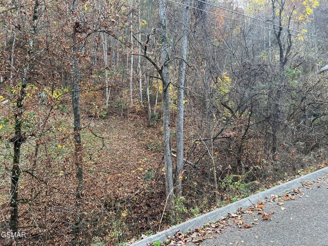 LOT6 Pulaski Ln, Sevierville, TN 37862