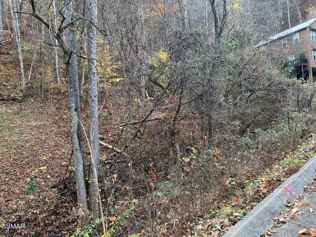 LOT6 Pulaski Ln, Sevierville, TN 37862