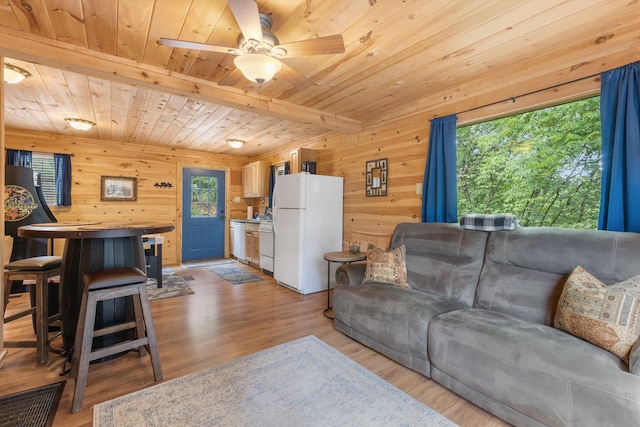 living room featuring wooden ceiling, wooden walls, ceiling fan, beam ceiling, and light hardwood / wood-style floors