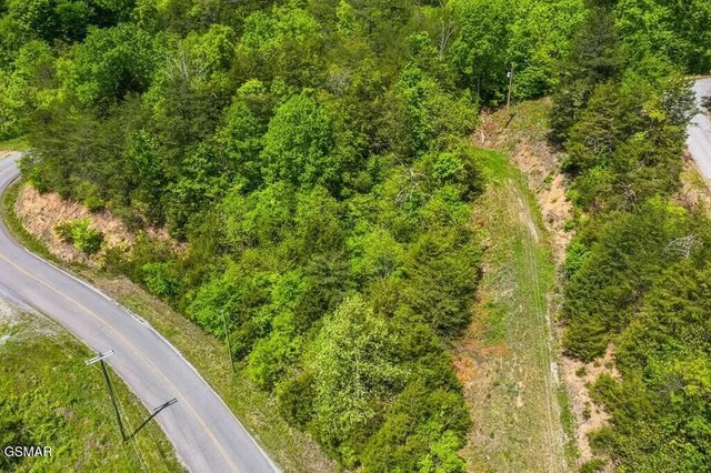 LOT2 Caywood Rd, Dandridge, TN 37725 - photo 11