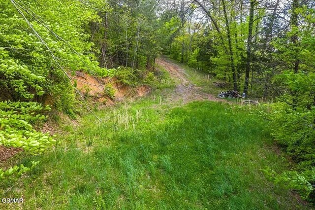 LOT2 Caywood Rd, Dandridge, TN 37725 - photo 4