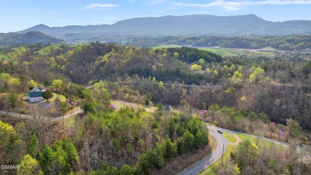 LOT2 Caywood Rd, Dandridge, TN 37725 - photo 17