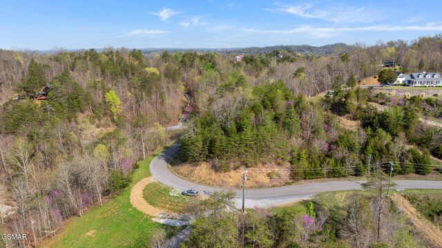 LOT2 Caywood Rd, Dandridge, TN 37725 - photo 8