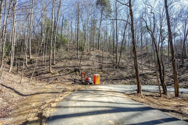 LOT570A Orchard Dr, Sevierville, TN 37876
