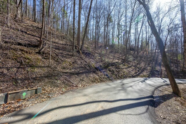 LOT570A Orchard Dr, Sevierville, TN 37876