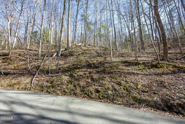LOT570A Orchard Dr, Sevierville, TN 37876