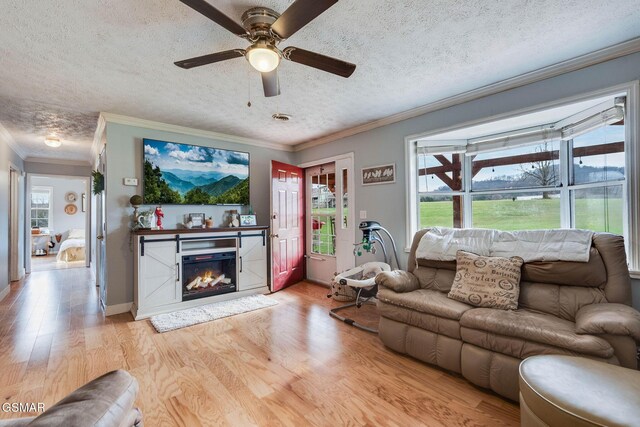 living room featuring ceiling fan, light wood-type flooring, a textured ceiling, and ornamental molding