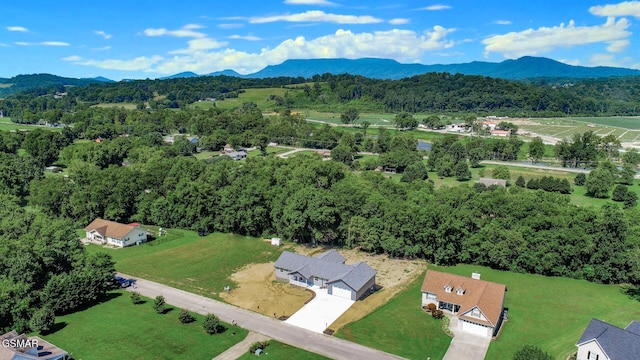 116 Meadowood Rd, Newport, TN 37821 - photo 52