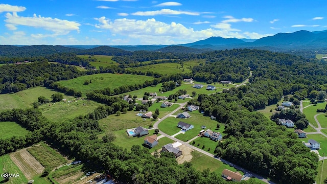 116 Meadowood Rd, Newport, TN 37821 - photo 56