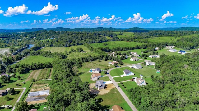 116 Meadowood Rd, Newport, TN 37821 - photo 57