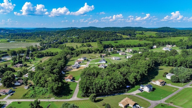 116 Meadowood Rd, Newport, TN 37821 - photo 58