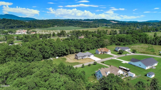 116 Meadowood Rd, Newport, TN 37821 - photo 53