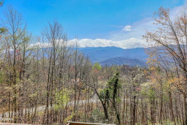 647 Sunshine Trl, Gatlinburg, TN 37738 - photo 34