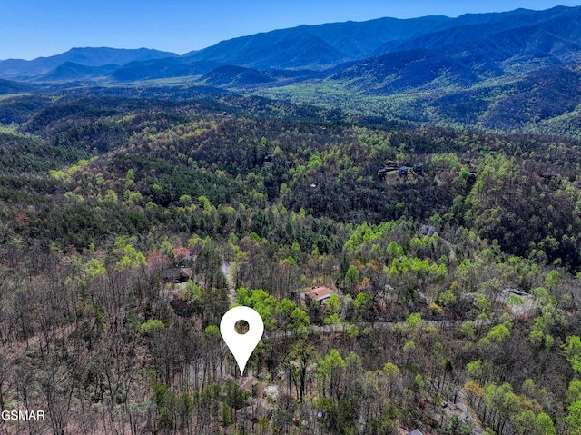 647 Sunshine Trl, Gatlinburg, TN 37738 - photo 38
