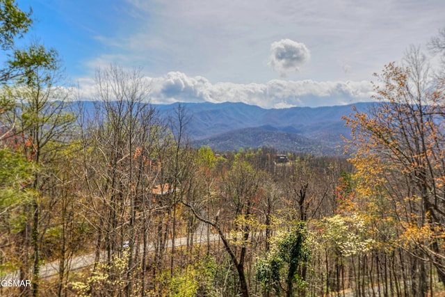 647 Sunshine Trl, Gatlinburg, TN 37738 - photo 2