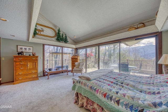 647 Sunshine Trl, Gatlinburg, TN 37738 - photo 14