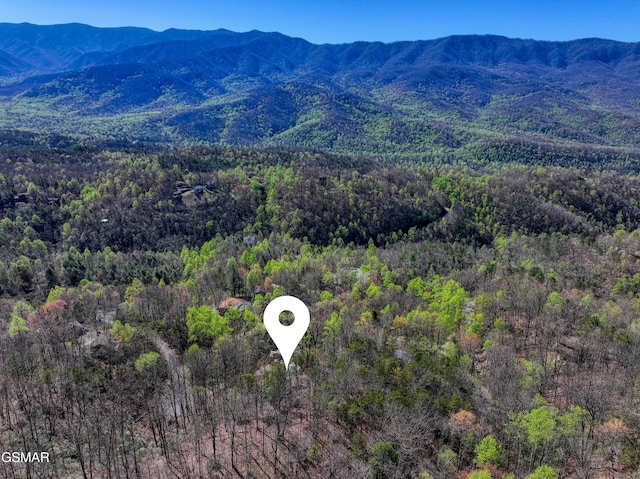 647 Sunshine Trl, Gatlinburg, TN 37738 - photo 46