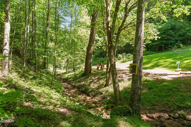 2792 Happy Hollow Rd, Sevierville, TN 37862 - photo 19