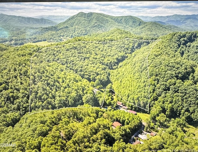 2792 Happy Hollow Rd, Sevierville, TN 37862 - photo 1