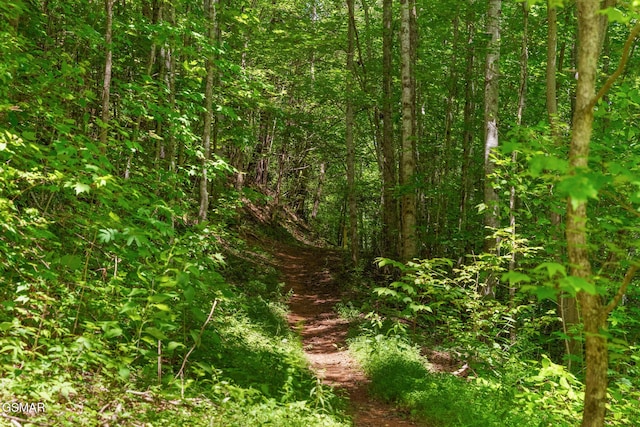 2792 Happy Hollow Rd, Sevierville, TN 37862 - photo 20