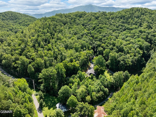 2792 Happy Hollow Rd, Sevierville, TN 37862 - photo 28