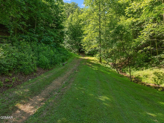2792 Happy Hollow Rd, Sevierville, TN 37862 - photo 24