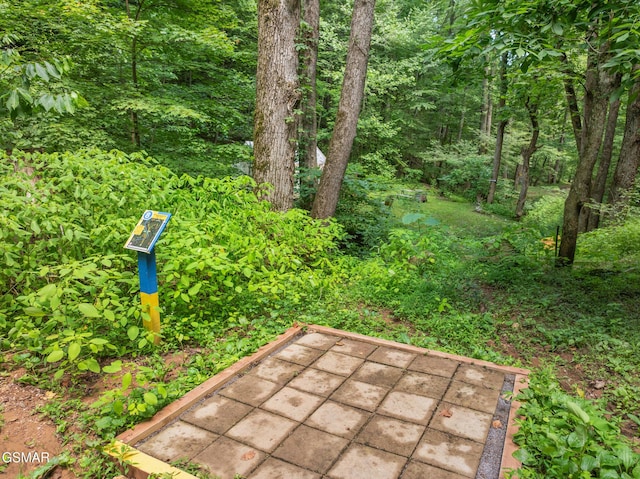 2792 Happy Hollow Rd, Sevierville, TN 37862 - photo 18