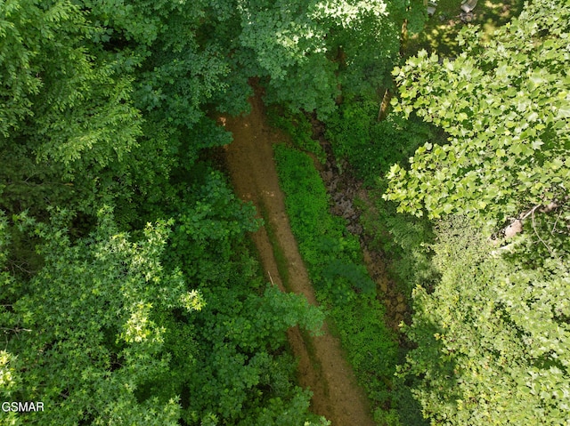 2792 Happy Hollow Rd, Sevierville, TN 37862 - photo 22