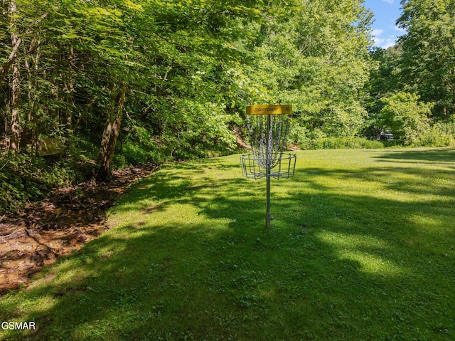 2792 Happy Hollow Rd, Sevierville, TN 37862 - photo 7
