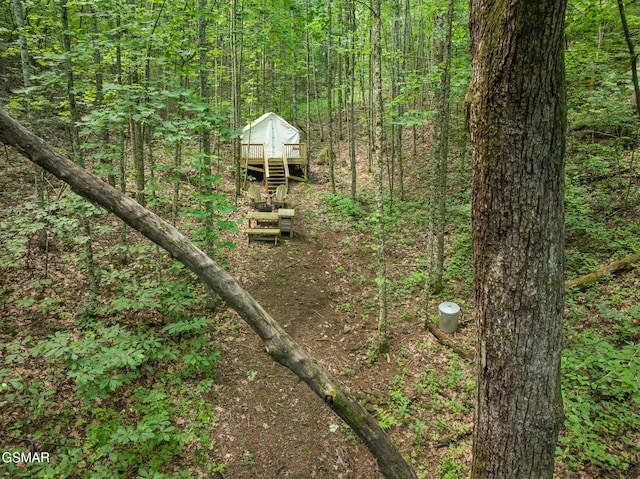 2792 Happy Hollow Rd, Sevierville, TN 37862 - photo 26