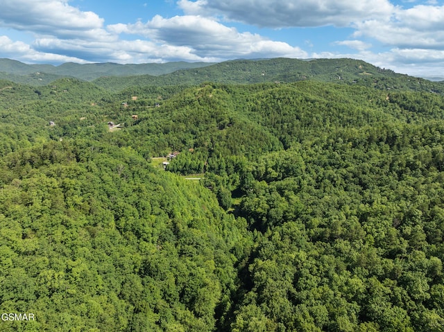 2792 Happy Hollow Rd, Sevierville, TN 37862 - photo 27