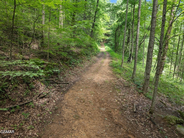 2792 Happy Hollow Rd, Sevierville, TN 37862 - photo 23