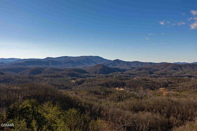 2412 Breezey Ridge Dr, Sevierville, TN 37876 - view of mountain backdrop