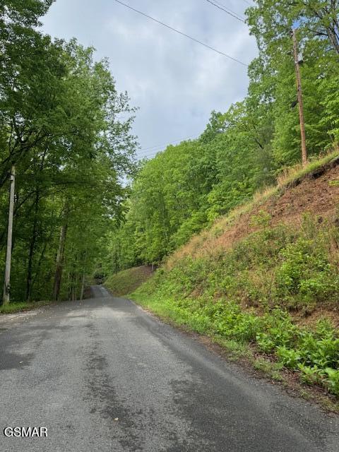 LOT543 Rockview Dr, Spring City, TN 37381