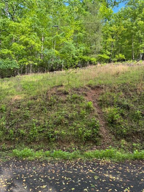 LOT543 Rockview Dr, Spring City, TN 37381